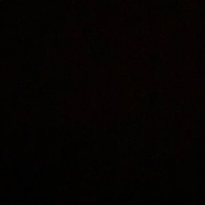 Meet your Posher, Bob flannigan